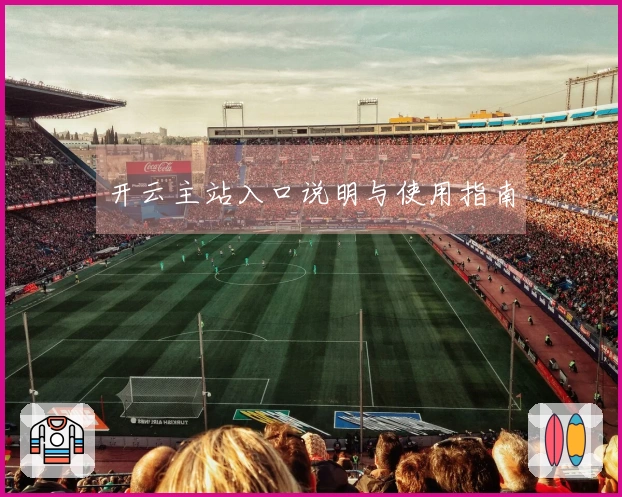 开云主站入口说明与使用指南