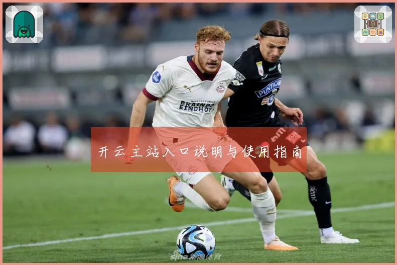 开云主站入口说明与使用指南
