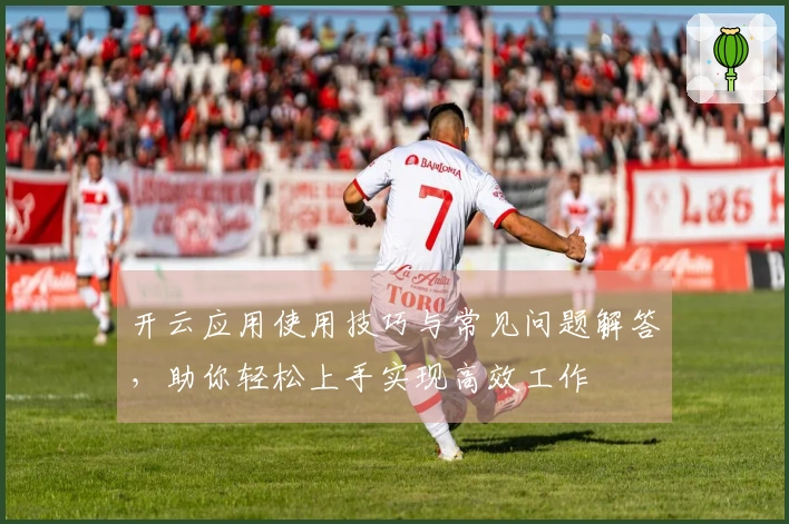 开云应用使用技巧与常见问题解答,助你轻松上手实现高效工作